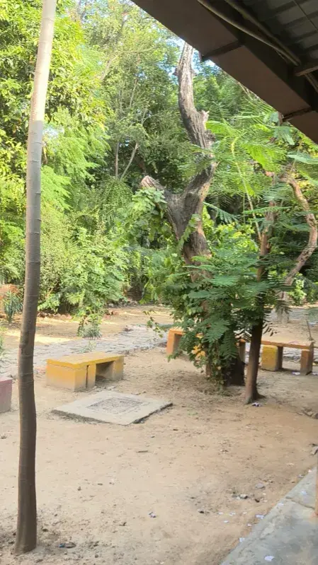 Dyal Singh College Campus photo 4